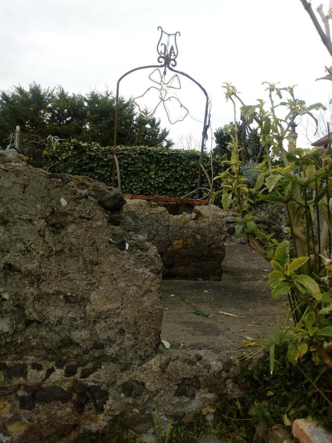 Casa Vacanze Da Rosy Ercolano Kültér fotó